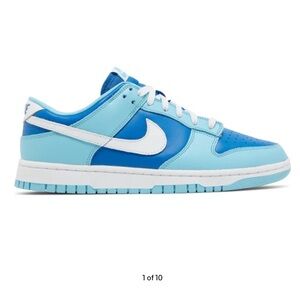 Nike dunk low retro QS Argon 2022 size 10.5